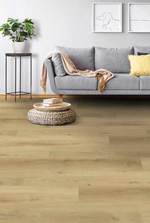 Vario 4904 (Dry) 5904 (click)